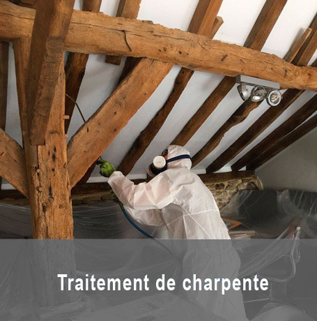 Traitement de charpente à Viarmes dans le Val d'Oise 95